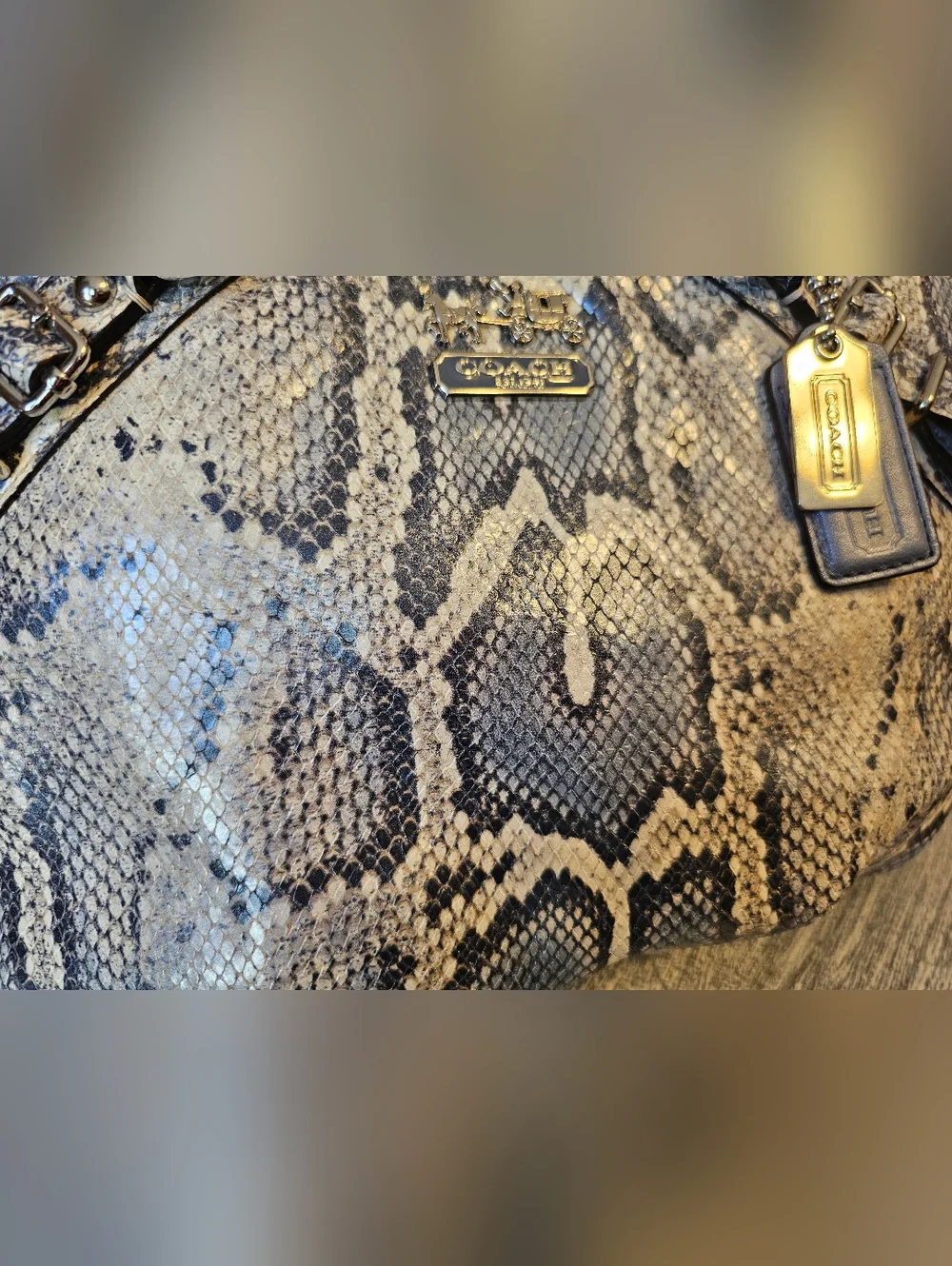 COACH Madison Python Sophia Satchel/Shoulder Bag - Picture 13 of 16